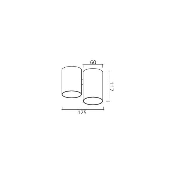Plafonska lampa AFS102-1C BK - Plafonske lampe