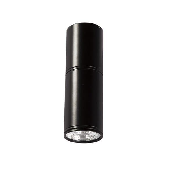 LED plafonska lampa F2603-12C BK