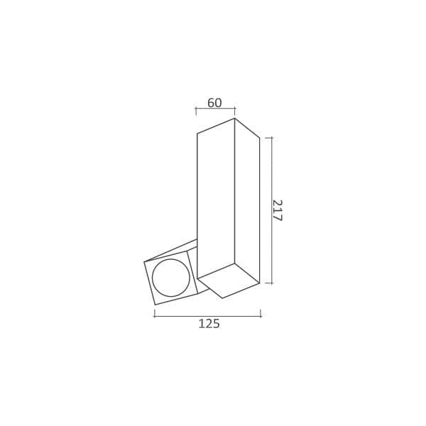 Plafonska lampa AFS101-1C BK