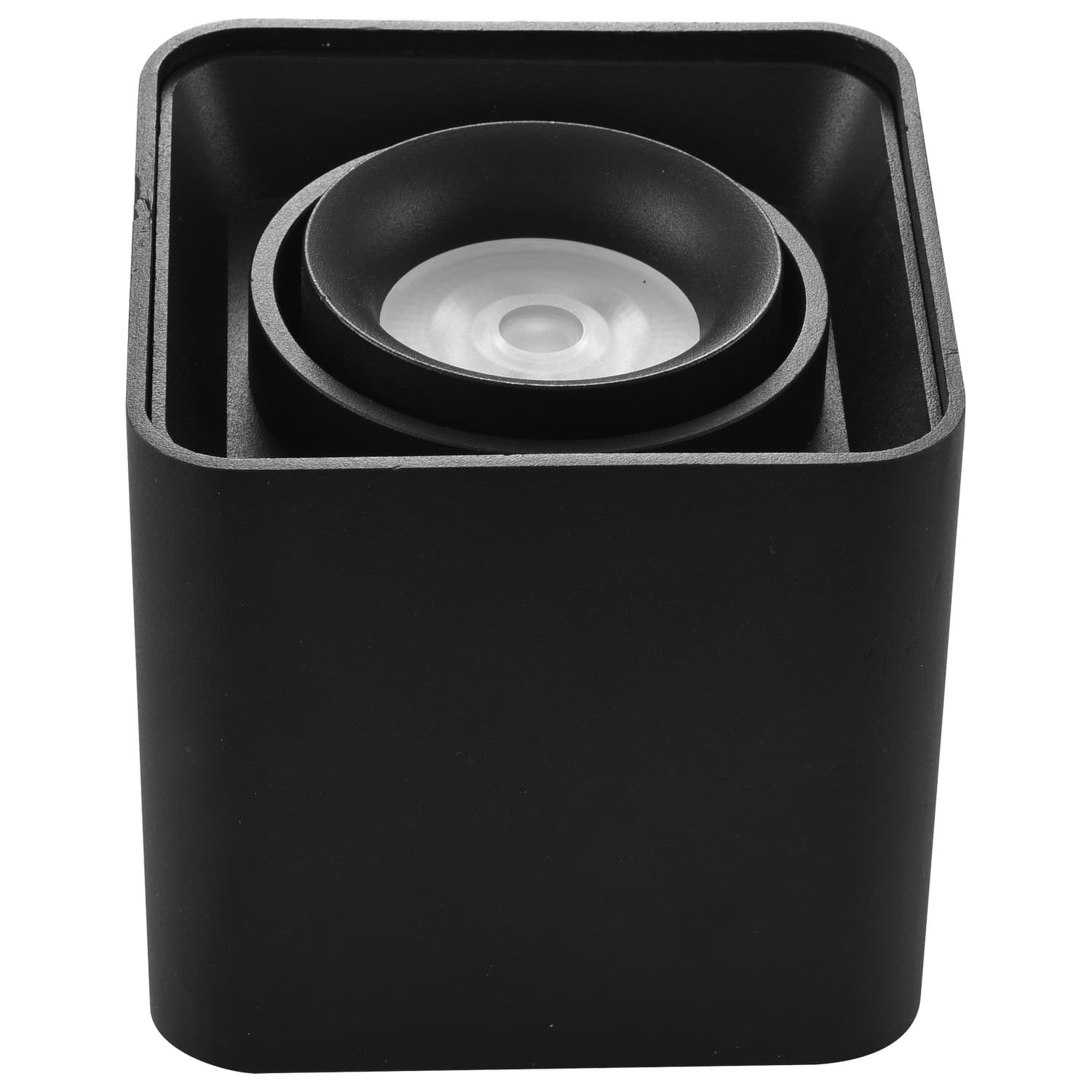 Plafonska lampa AFS108-1C BK