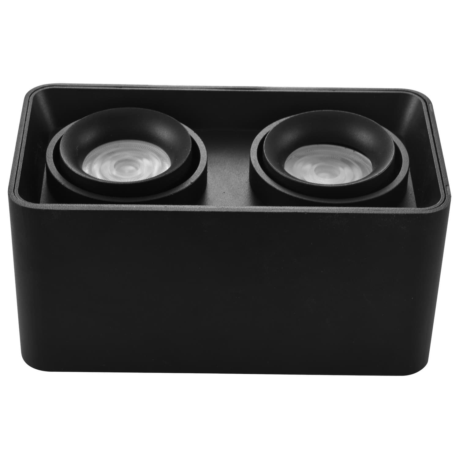 Plafonska lampa AFS108-2C BK