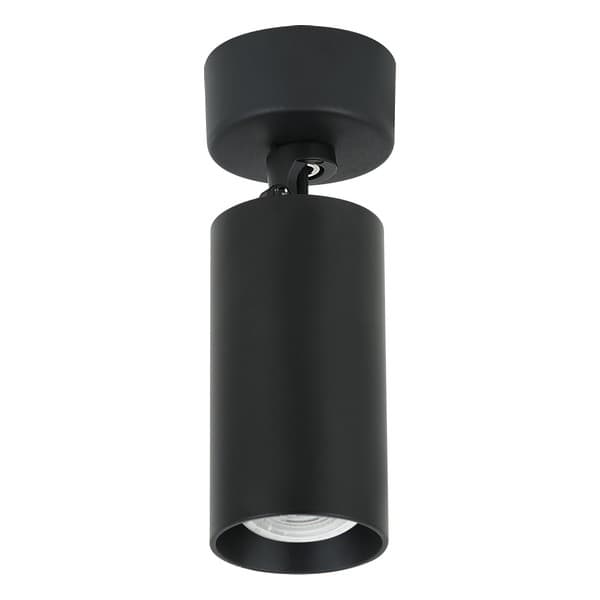 Plafonska lampa AFS112-1C BK
