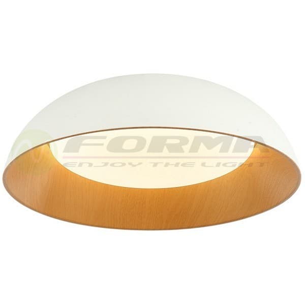 LED plafonska lampa FK2005-66C WH