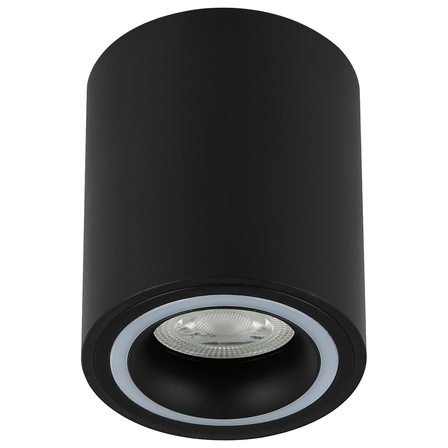 Plafonska lampa AFS116-1C BK