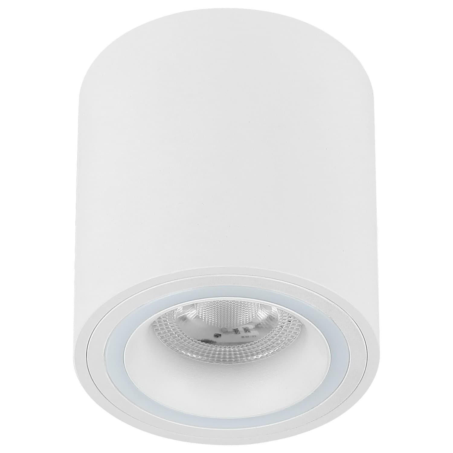 Plafonska lampa AFS116-1C WH