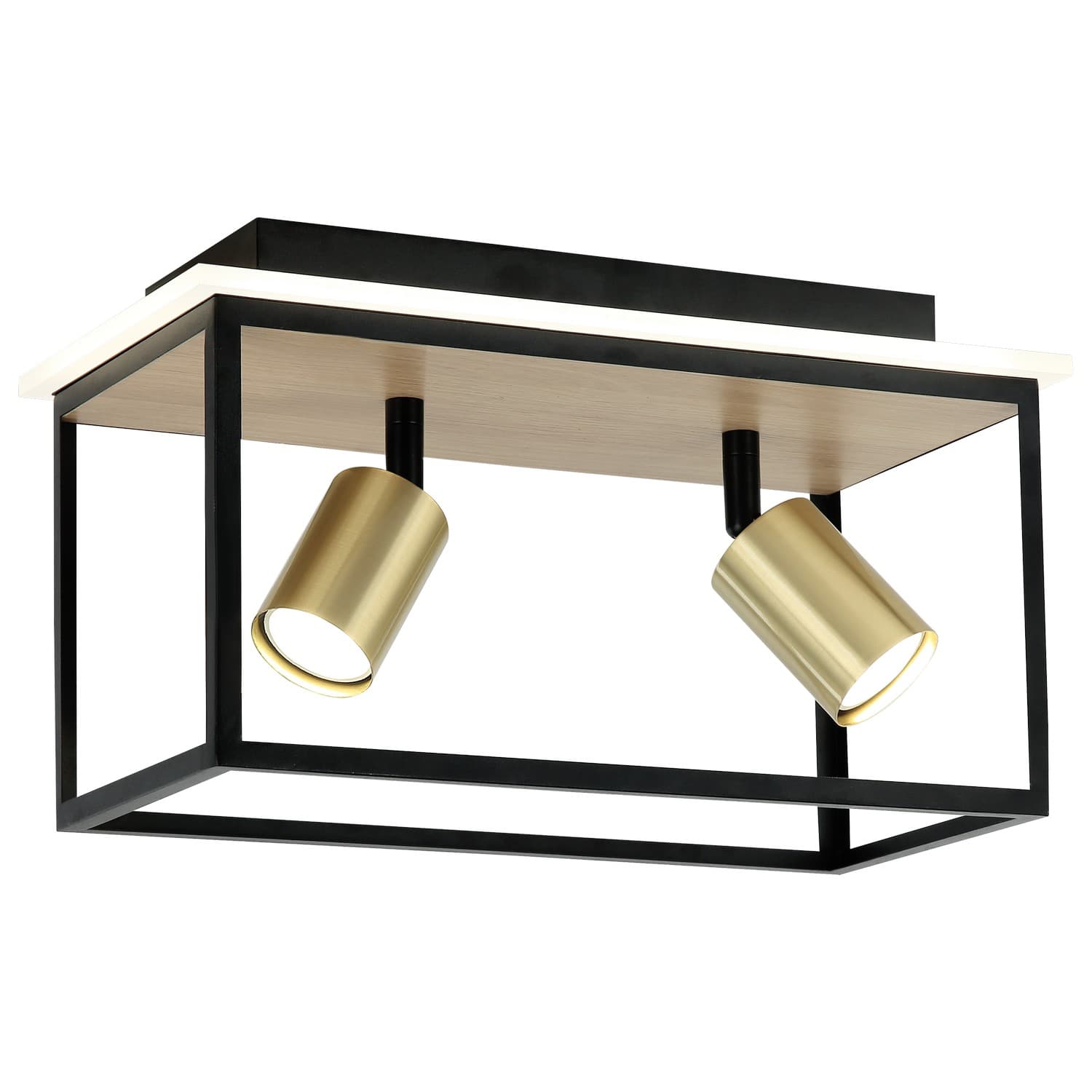 LED plafonska lampa FG152-2 BK+WD