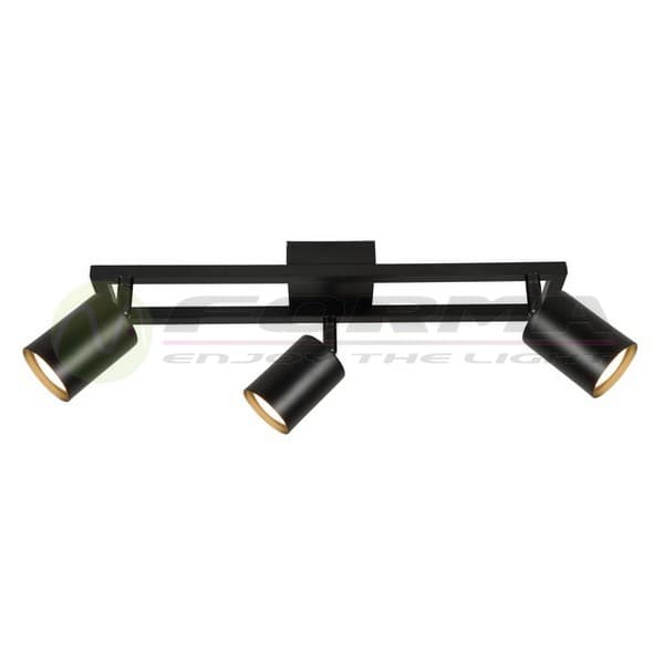 Plafonska lampa FG153-3 BK+SG