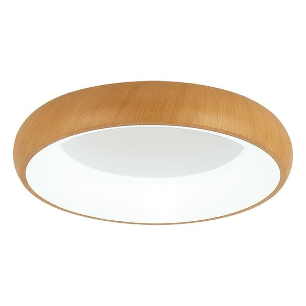 LED plafonska lampa F2081-58C WD
