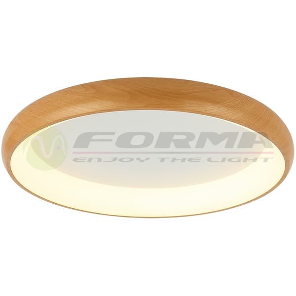 LED plafonska lampa F2081-86C WD