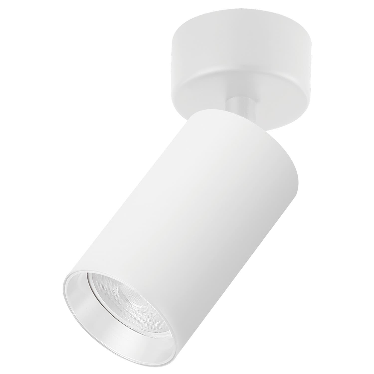 Plafonska lampa AFS121-1C WH