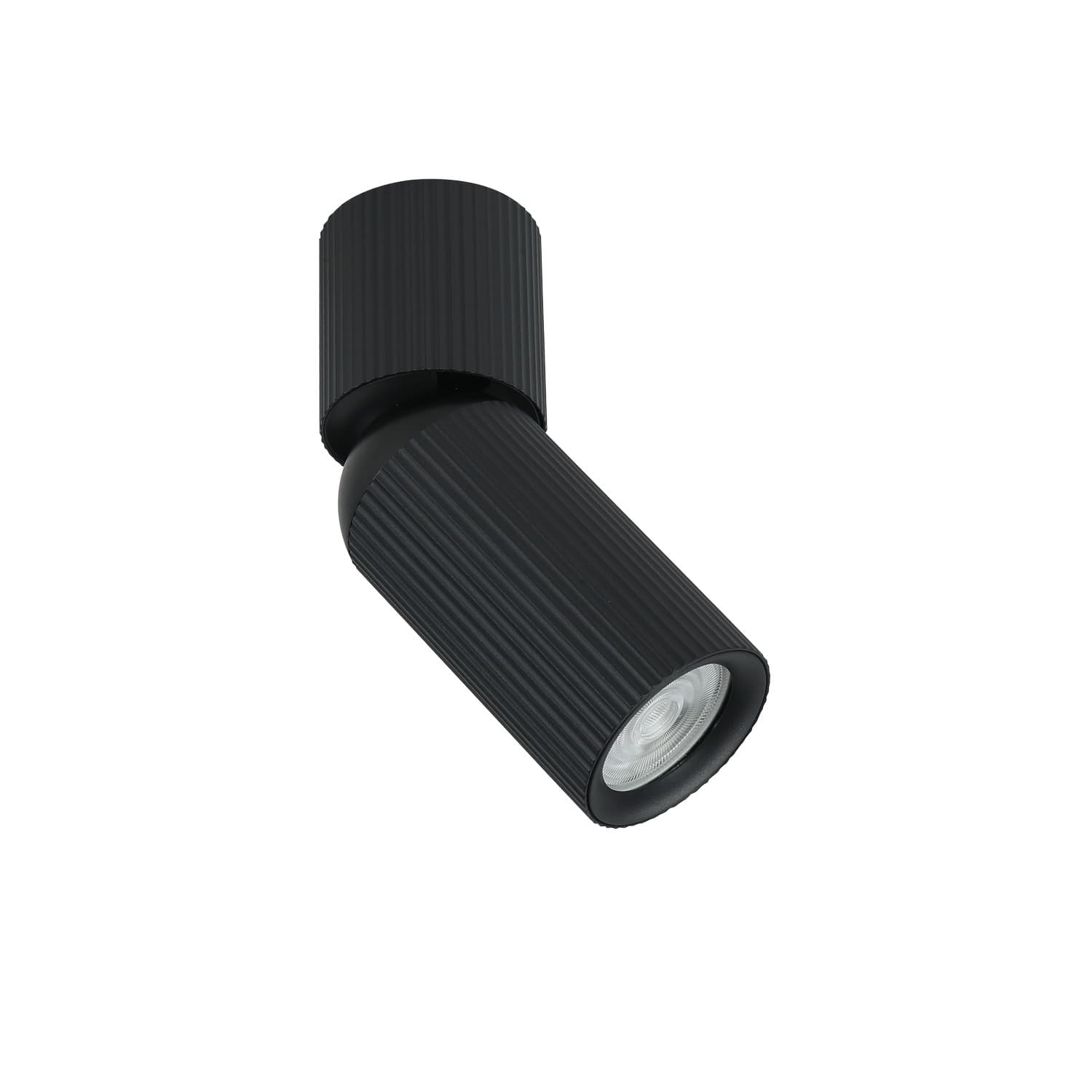 Plafonska lampa AFS117-1C BK