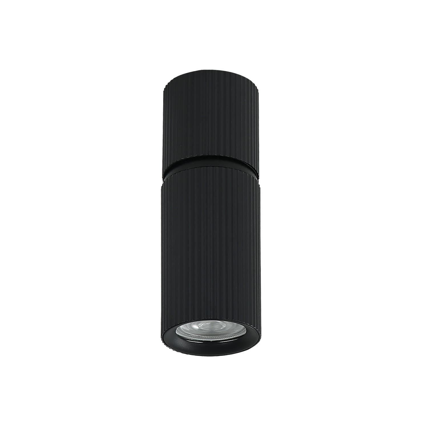 Plafonska lampa AFS117-1C BK