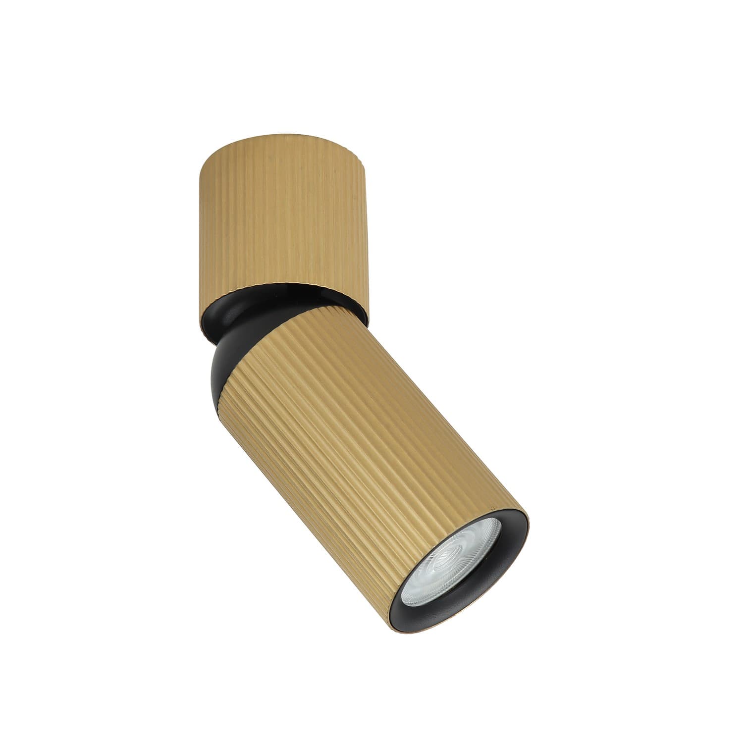 Plafonska lampa AFS117-1C SG