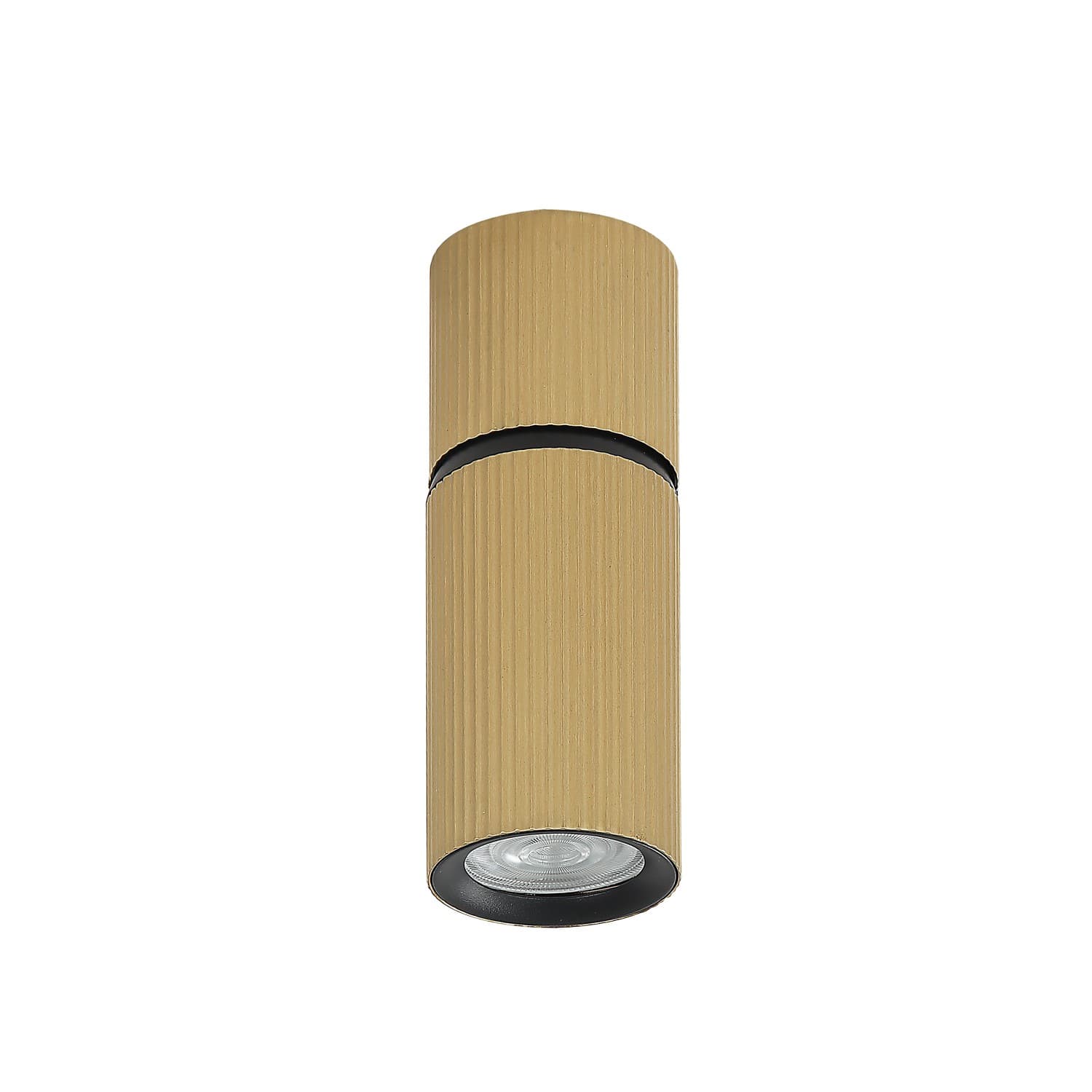 Plafonska lampa AFS117-1C SG
