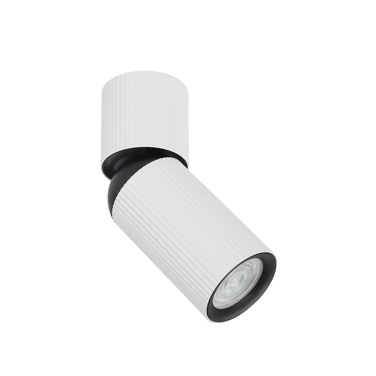 Plafonska lampa AFS117-1C WH