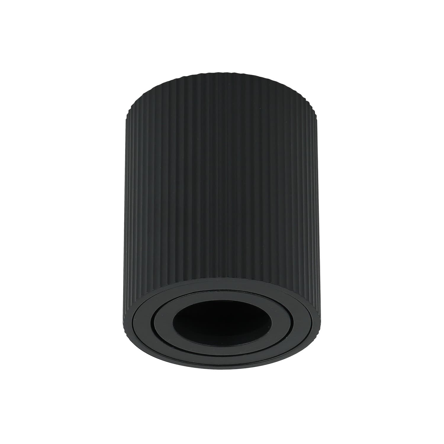 Plafonska lampa AFS118-1C BK