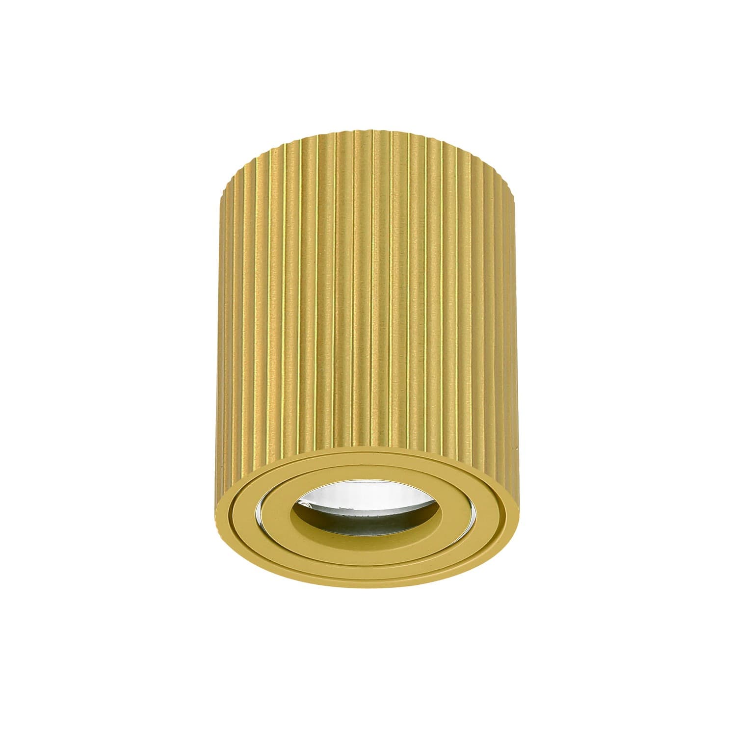 Plafonska lampa AFS118-1C SG