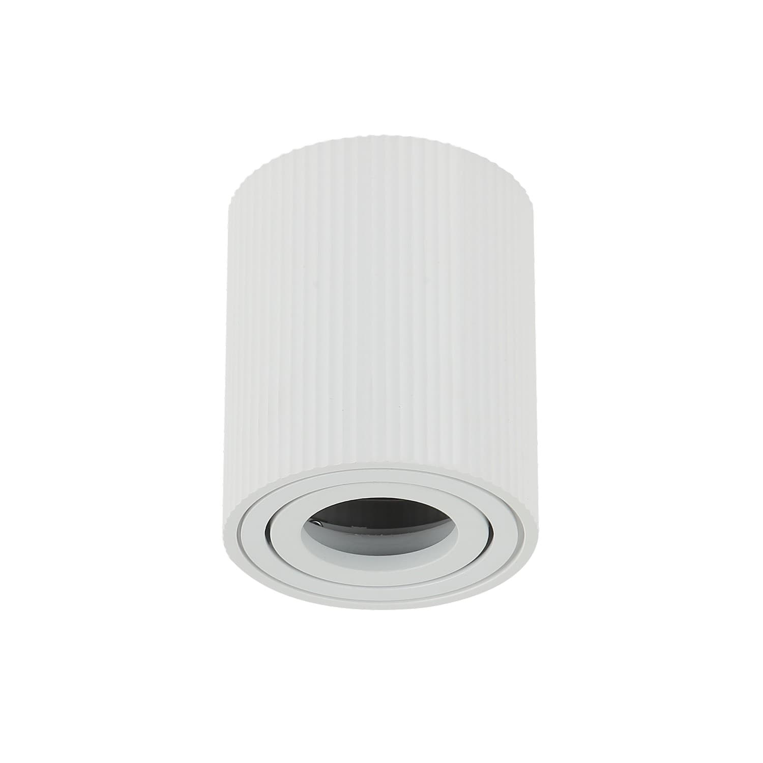 Plafonska lampa AFS118-1C WH