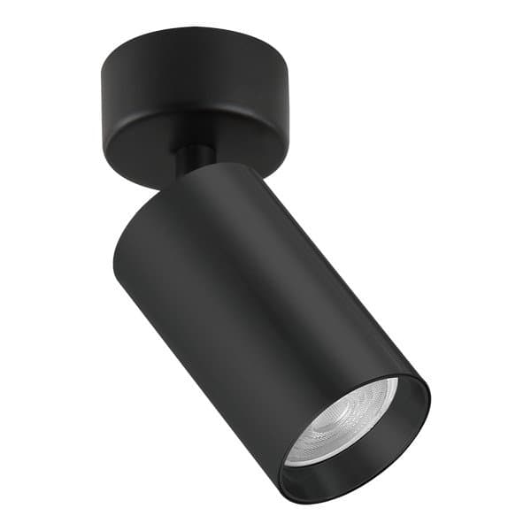 Plafonska lampa AFS121-1C BK