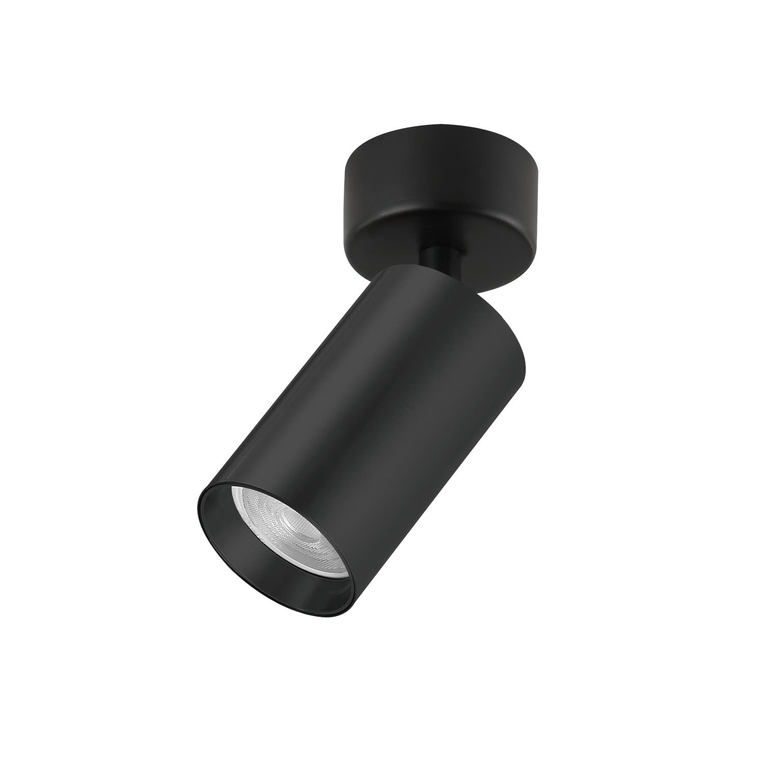 Plafonska lampa AFS121-1C BK
