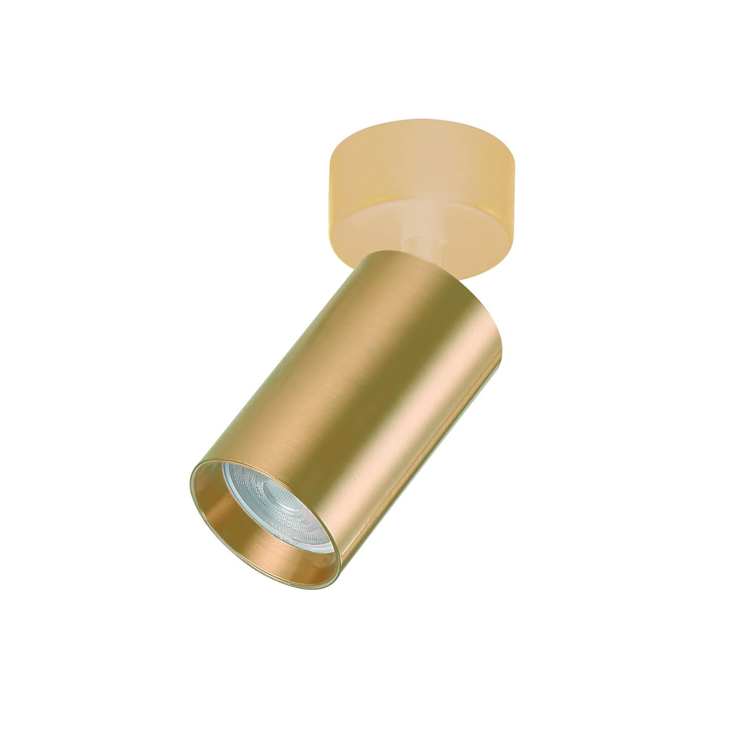 Plafonska lampa AFS121-1C SG