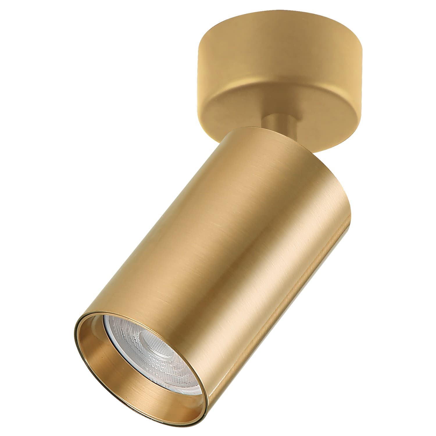 Plafonska lampa AFS121-1C SG