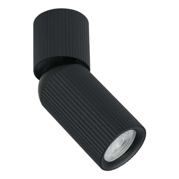 Plafonska lampa AFS117-1C BK