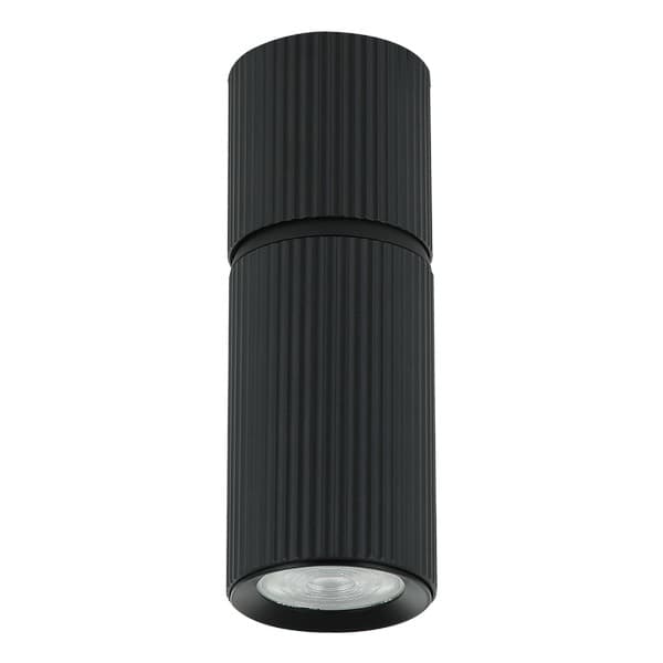 Plafonska lampa AFS117-1C BK