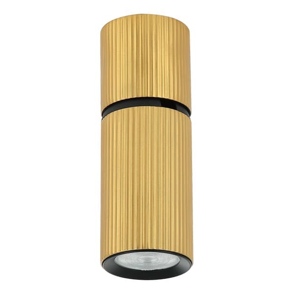 Plafonska lampa AFS117-1C SG