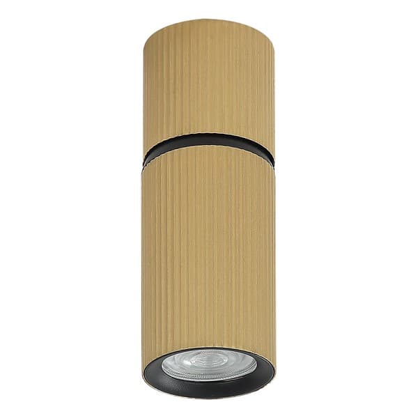 Plafonska lampa AFS117-1C SG