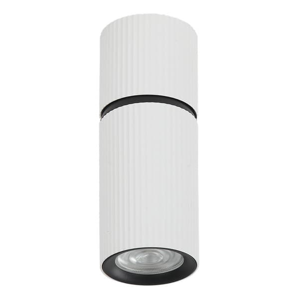 Plafonska lampa AFS117-1C WH