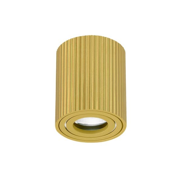 Plafonska lampa AFS118-1C SG