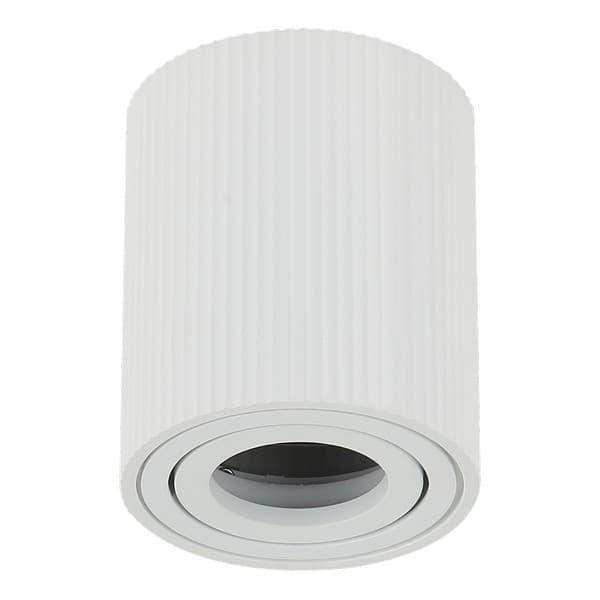 Plafonska lampa AFS118-1C SG