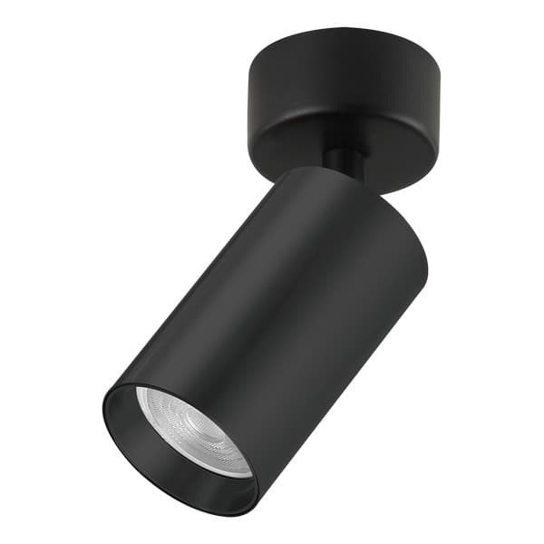 Plafonska lampa AFS121-1C SG