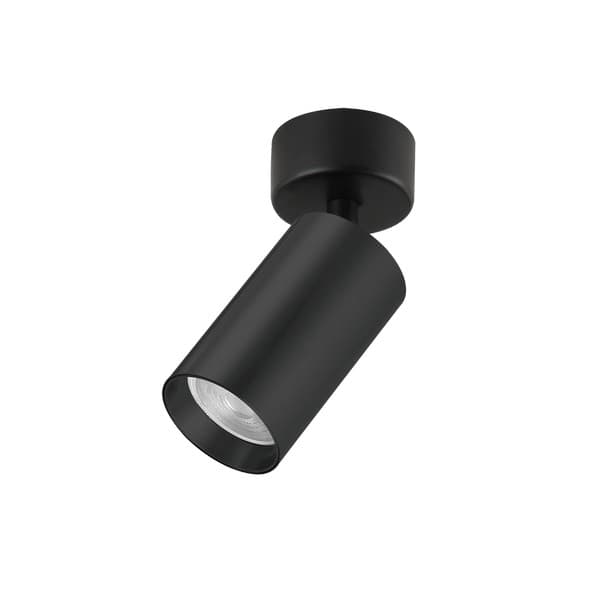 Plafonska lampa AFS121-1C BK