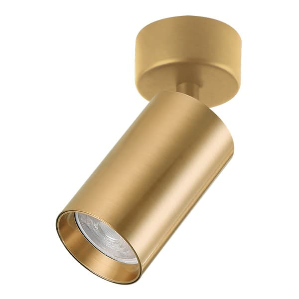 Plafonska lampa AFS121-1C SG