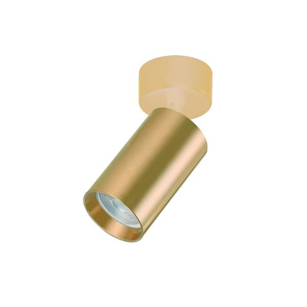Plafonska lampa AFS121-1C SG