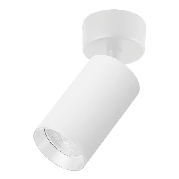 Plafonska lampa AFS121-1C SG