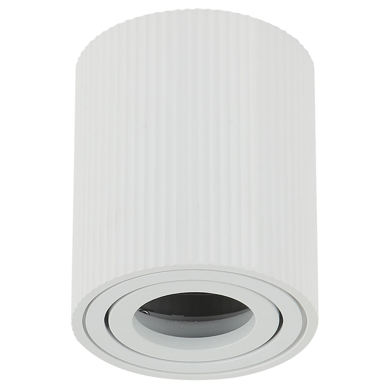 Plafonska lampa AFS118-1C WH