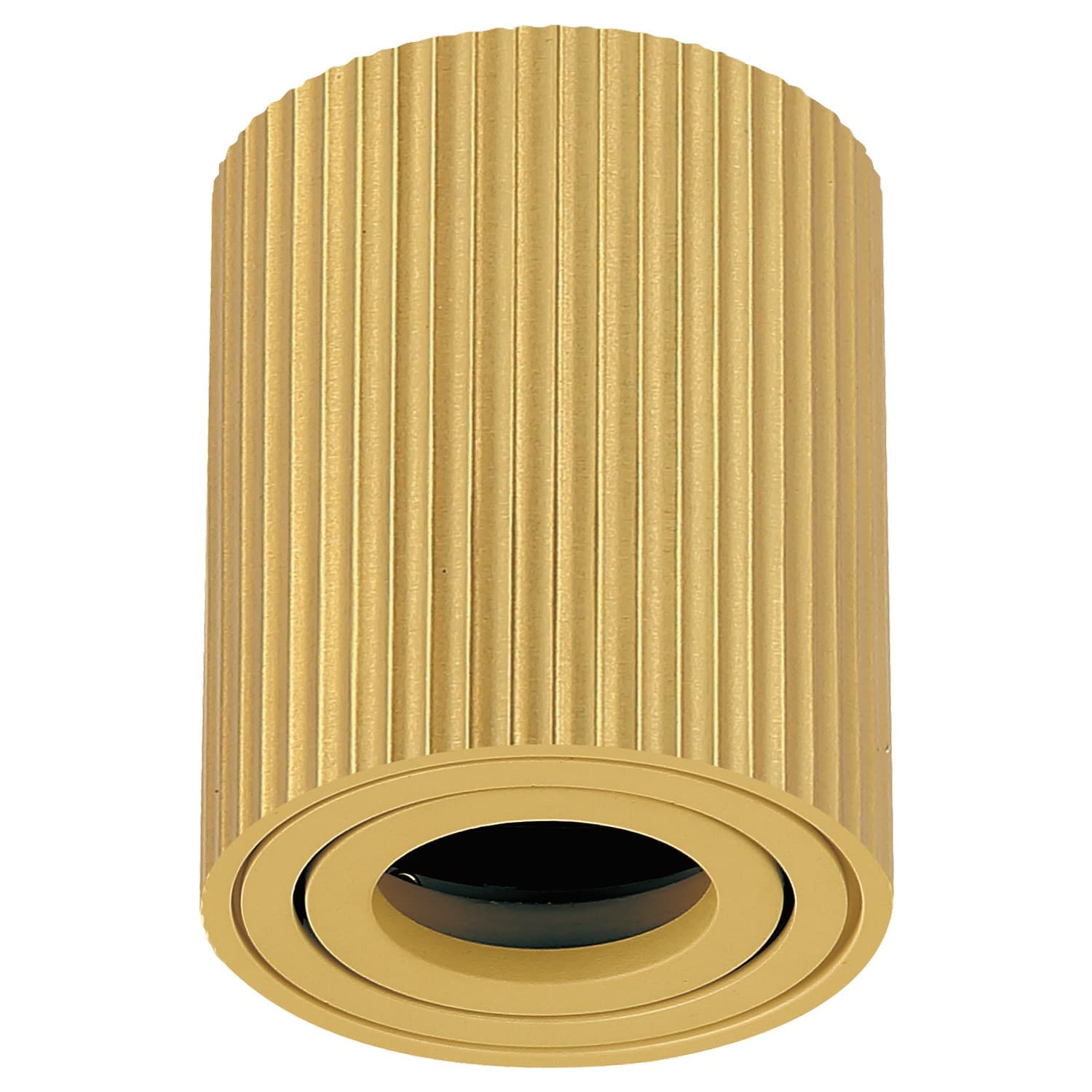Plafonska lampa AFS118-1C SG