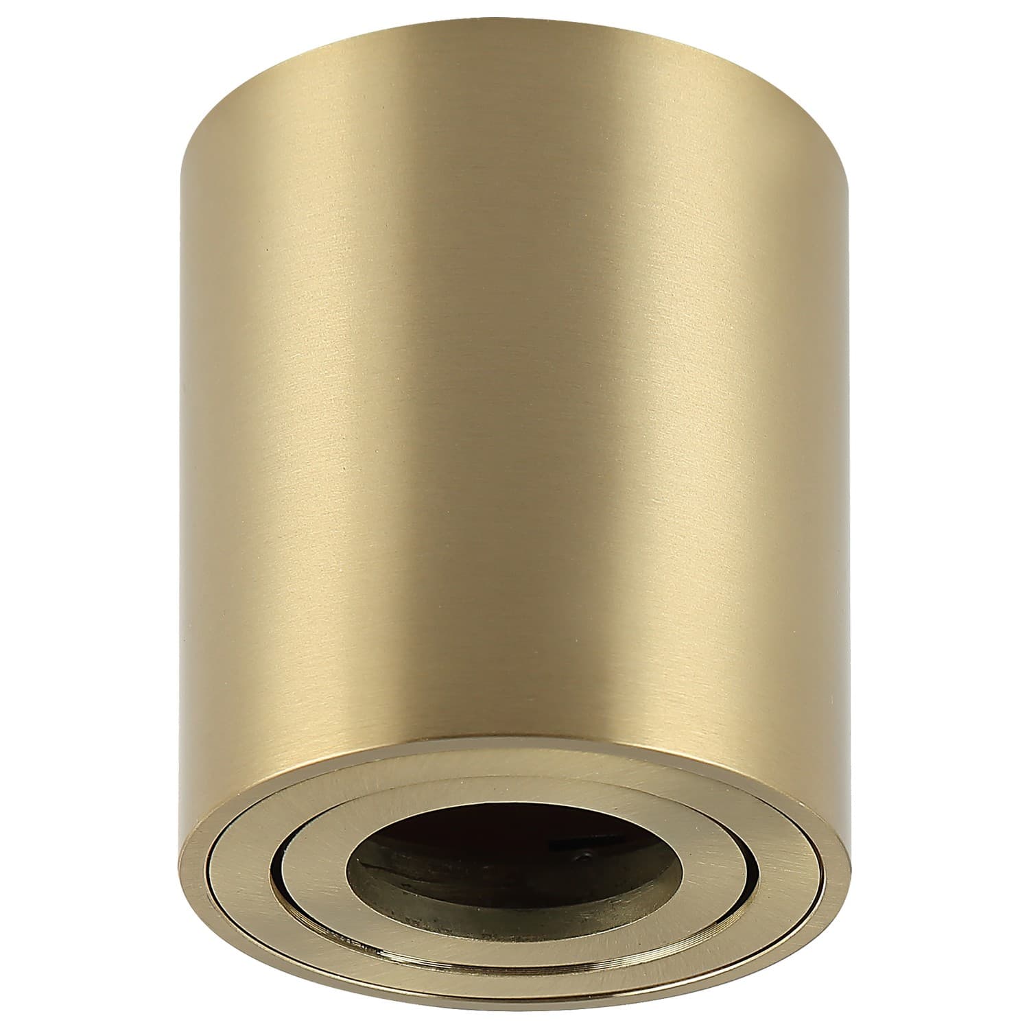 Plafonska lampa AFS114-1C SG
