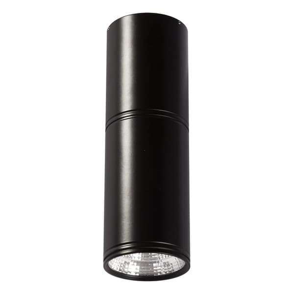 LED plafonska lampa F2603-12C BK - Akcija