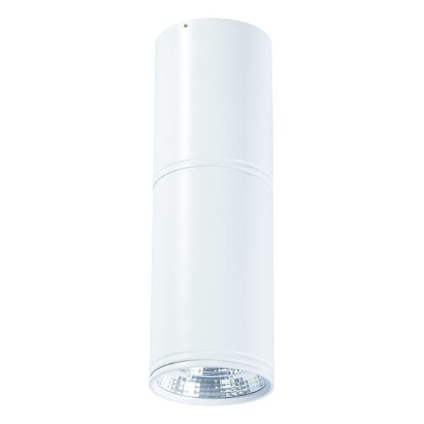 LED plafonska lampa F2603-12C WH - Akcija